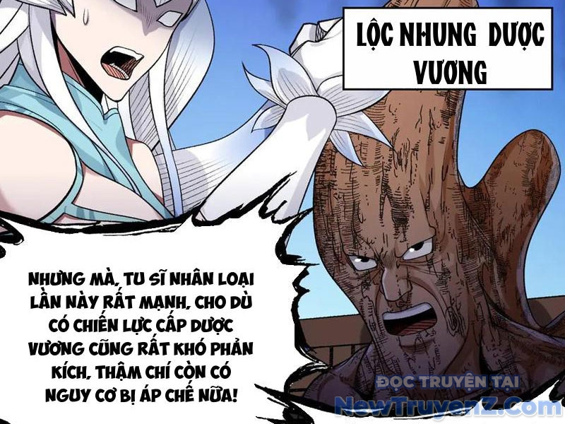 Gặp mạnh thì càng mạnh, tu vi của ta không giới hạn chapter 49 - Trang 11
