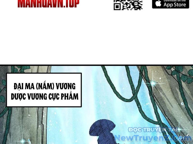 Gặp mạnh thì càng mạnh, tu vi của ta không giới hạn chapter 49 - Trang 24