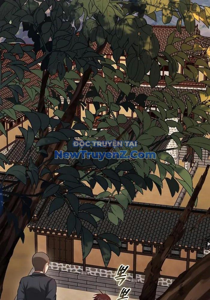 Thiên Tài Võ Thuật Hồi Quy chapter 95 - Trang 28