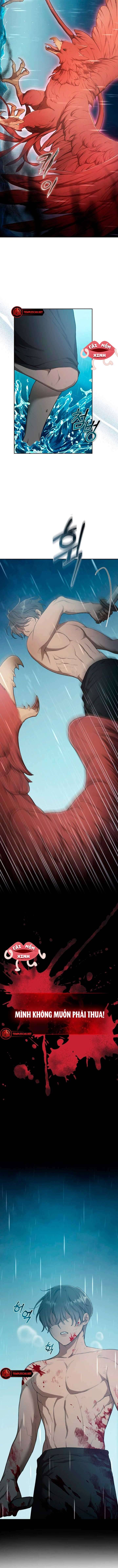 Khu Rừng Hoang Dã Chapter 4 - Trang 10