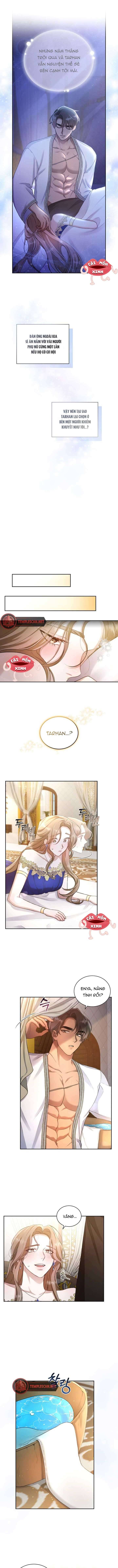 Khu Rừng Hoang Dã Chapter 1 - Trang 5