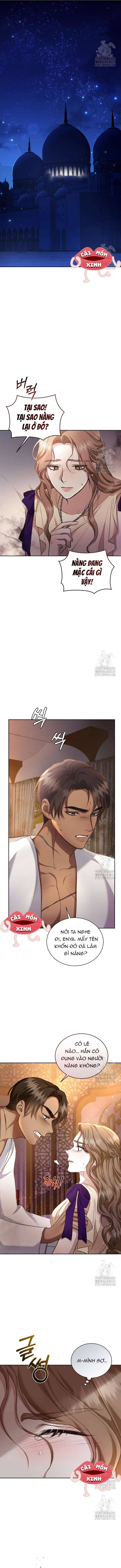 Khu Rừng Hoang Dã Chapter 8 - Trang 10