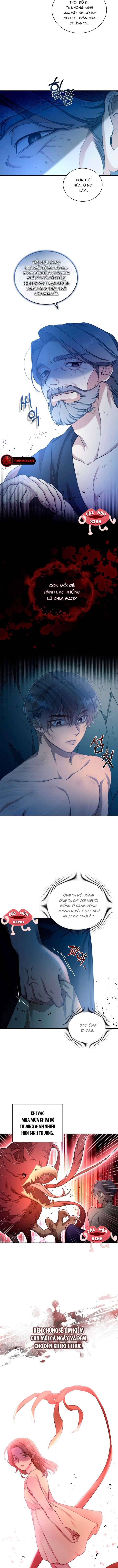 Khu Rừng Hoang Dã Chapter 3 - Trang 7