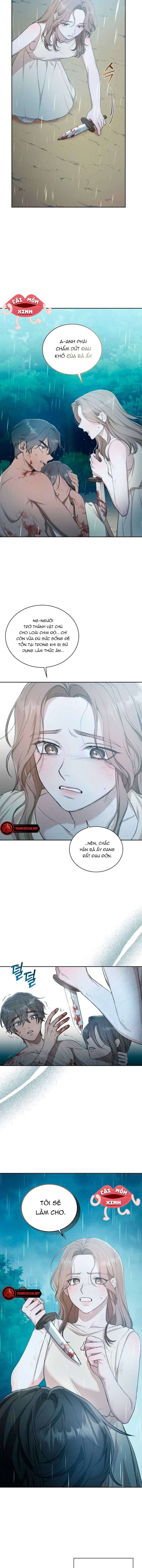 Khu Rừng Hoang Dã Chapter 4 - Trang 13