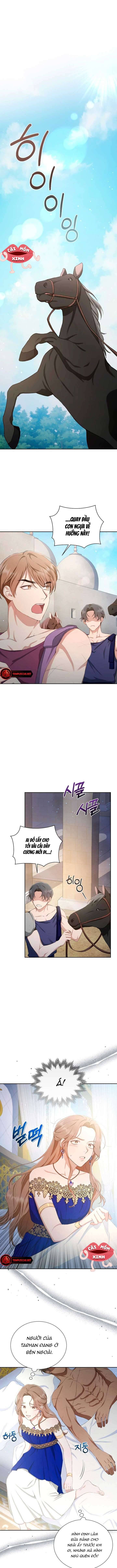 Khu Rừng Hoang Dã Chapter 5 - Trang 5