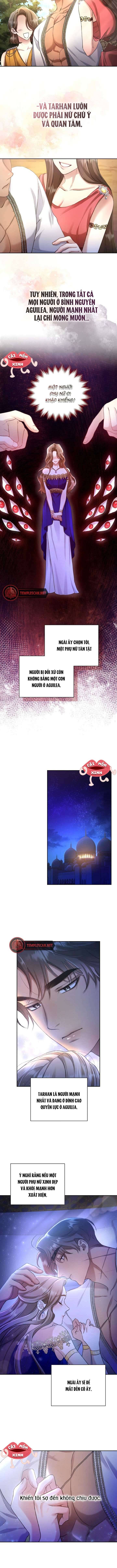 Khu Rừng Hoang Dã Chapter 1 - Trang 4