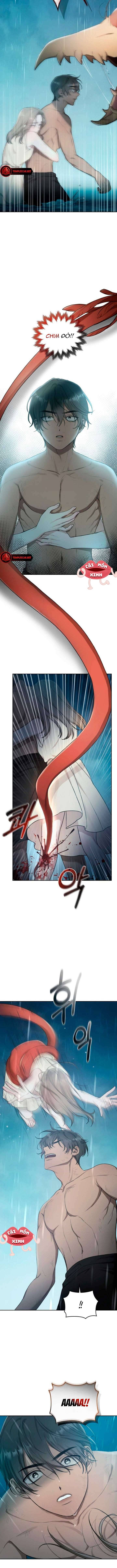 Khu Rừng Hoang Dã Chapter 4 - Trang 7