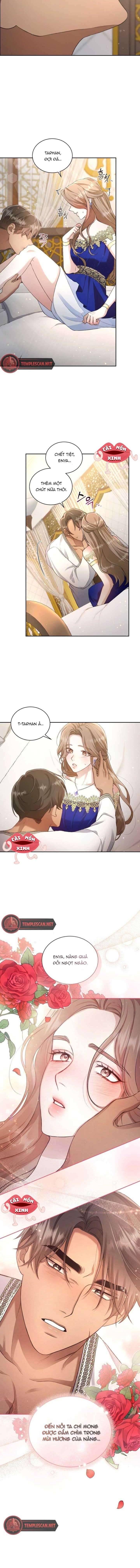 Khu Rừng Hoang Dã Chapter 1 - Trang 8