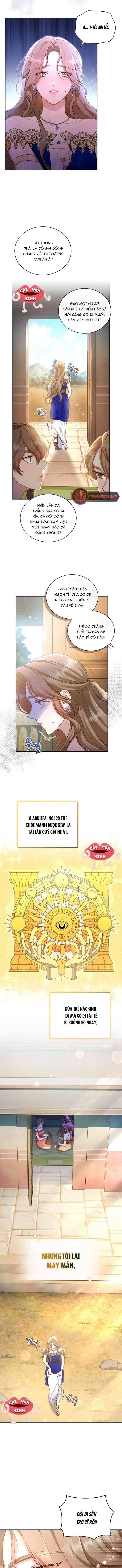Khu Rừng Hoang Dã Chapter 1 - Trang 1