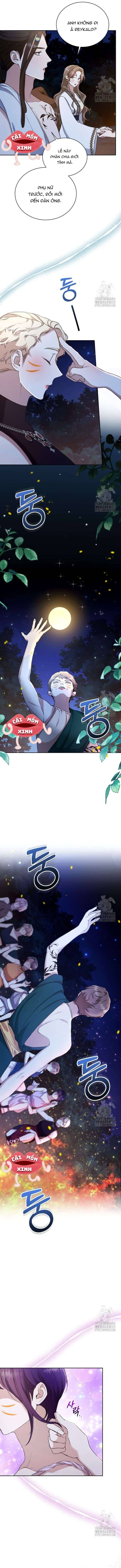 Khu Rừng Hoang Dã Chapter 16 - Trang 7
