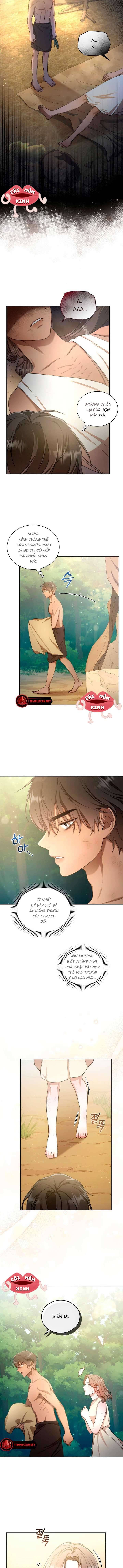 Khu Rừng Hoang Dã Chapter 3 - Trang 2