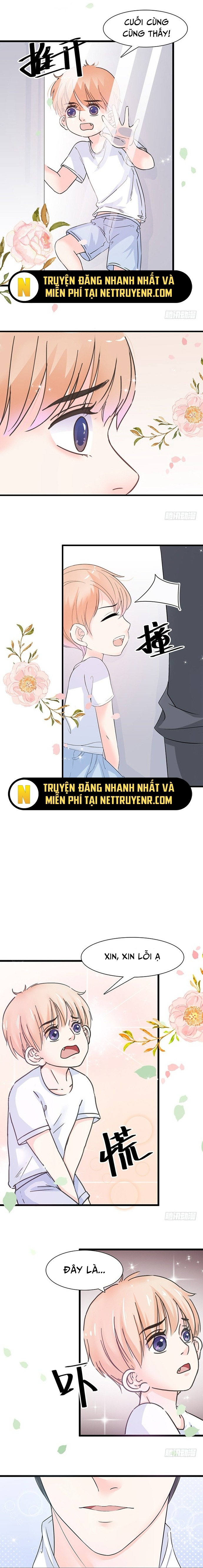 Chu Tiên Sinh, Ép Cưới Phạm Pháp Đó Chapter 11 - Trang 4