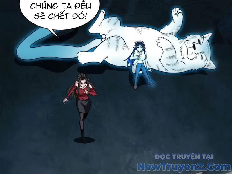 đối Mặt Với Bệnh Tâm Thần, Ma Quỷ Chẳng Là Cái Thá Gì chapter 134 - Trang 72