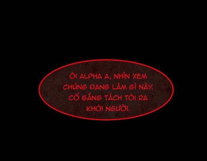 Cột Sống Đỏ Chapter 23 - Trang 47