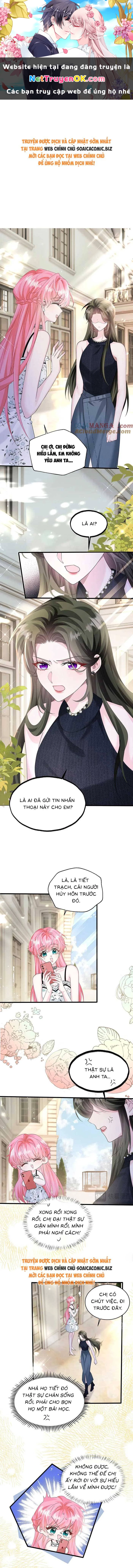 Cô Em Gái Cưng Bất Đắc Dĩ Của Đại Lão Chapter 35 - Trang 0