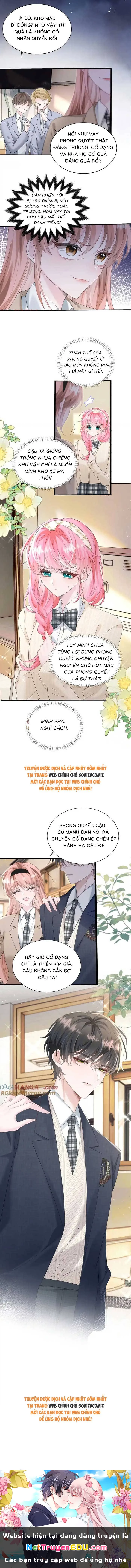 Cô Em Gái Cưng Bất Đắc Dĩ Của Đại Lão Chapter 46 - Trang 7