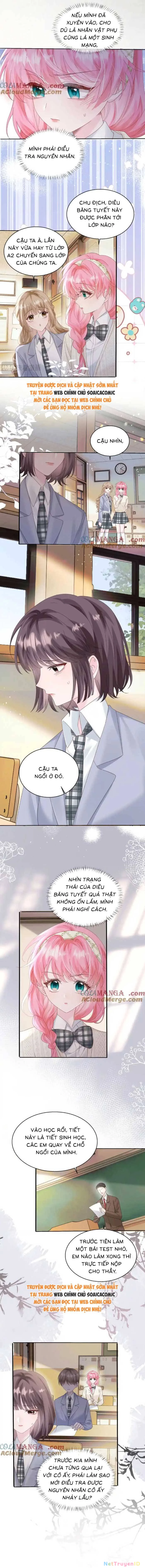 Cô Em Gái Cưng Bất Đắc Dĩ Của Đại Lão Chapter 47 - Trang 5