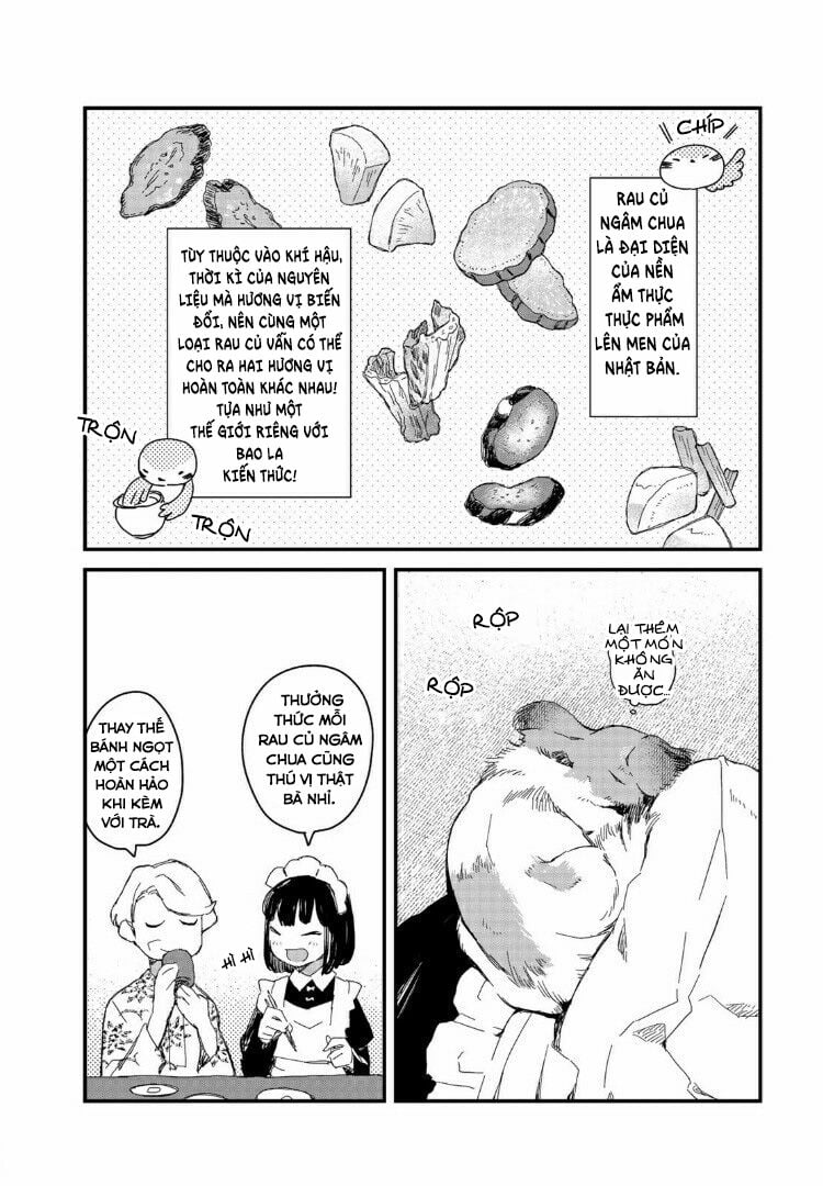 Maid-San Wa Taberu Dake Chapter 14 - Trang 7
