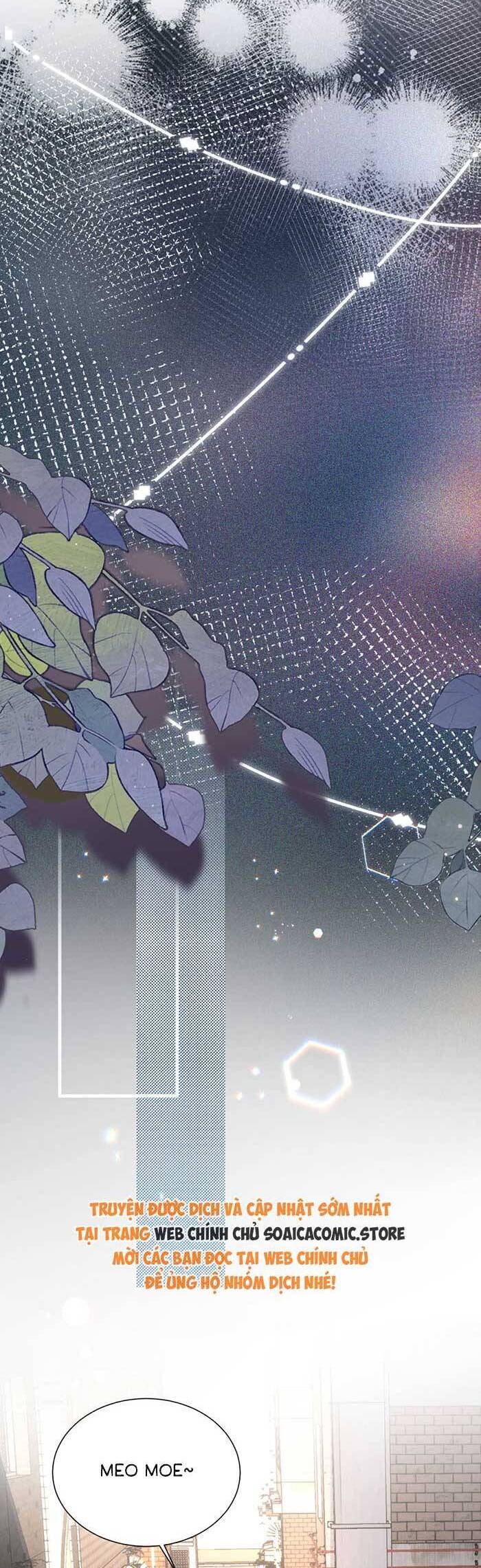 Bí Mật Nhỏ Của Ngỗng Trắng Chapter 6 - Trang 12