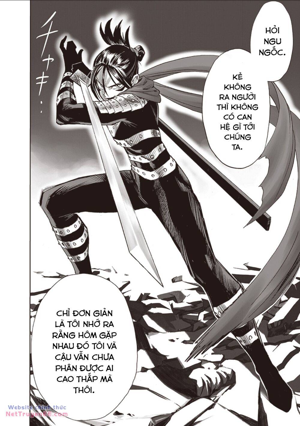 Anh Hùng Onepunch Chapter 252 - Trang 29