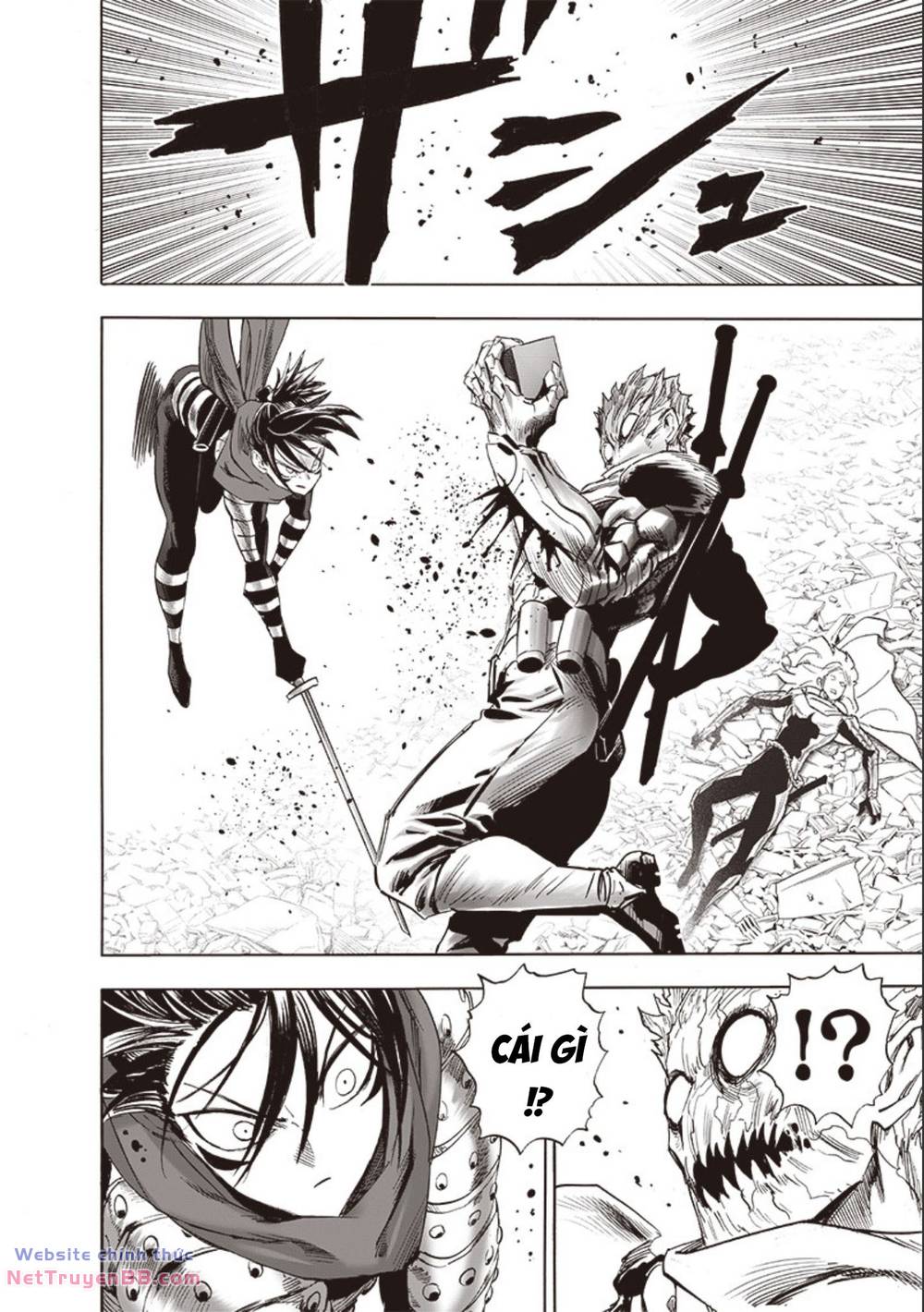 Anh Hùng Onepunch Chapter 249 - Trang 2