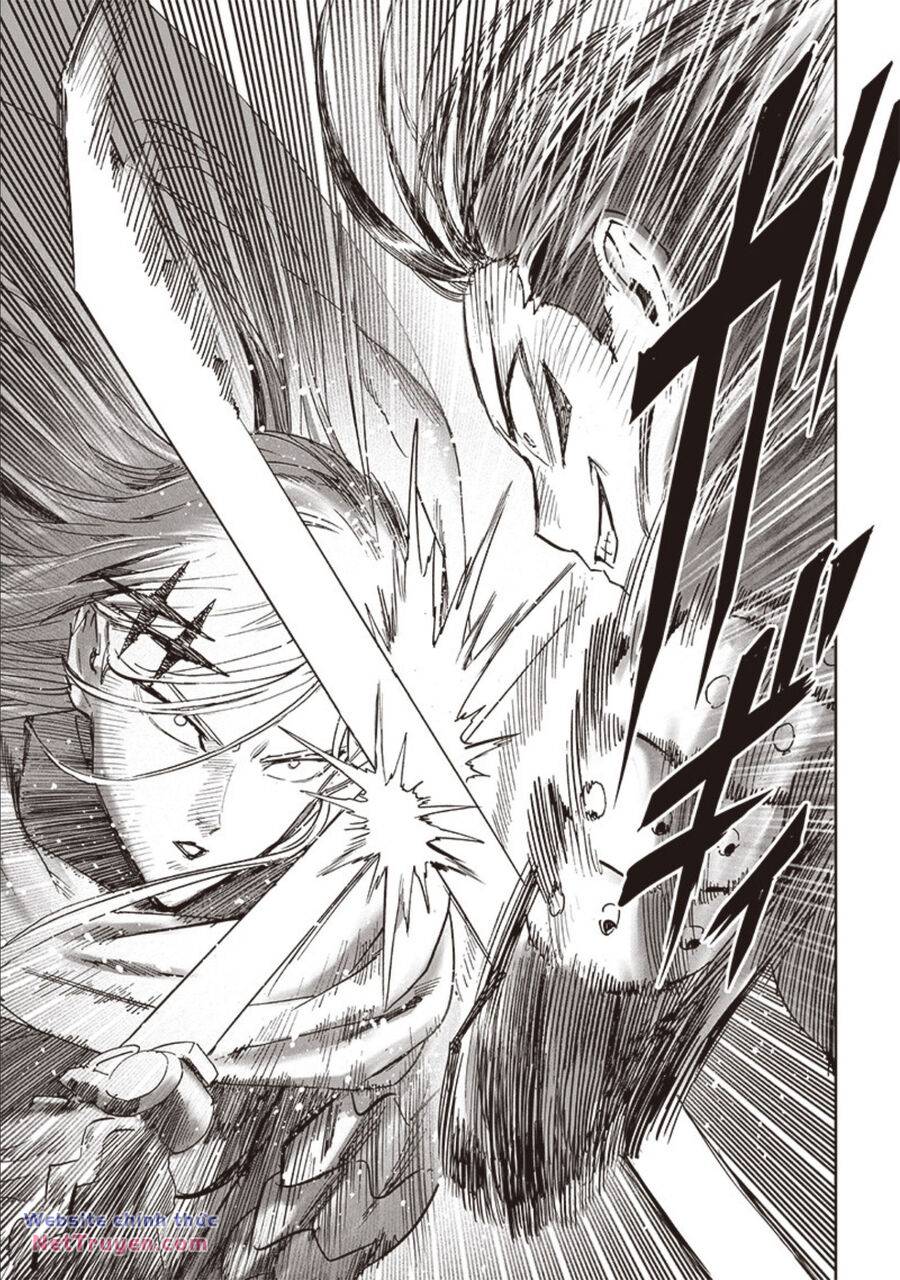 Anh Hùng Onepunch Chapter 253 - Trang 9