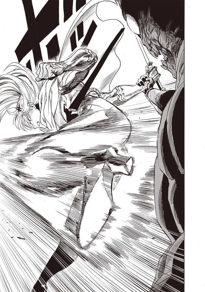 Anh Hùng Onepunch Chapter 255 - Trang 13