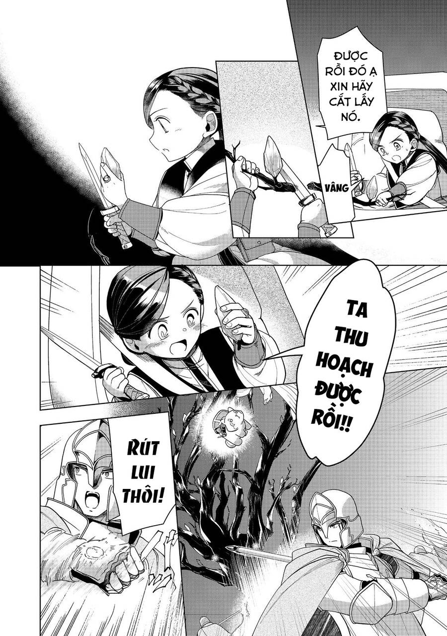 Honzuki No Gekokujou : Dai 3-Bu Ryouchi Ni Hon O Hirogeyou ! Chapter 40 - Trang 27