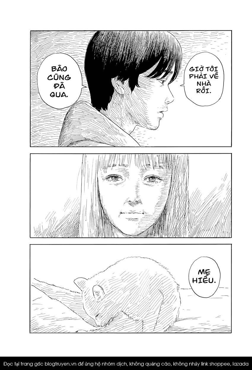 Đường Mòn Máu Chapter 139 - Trang 13