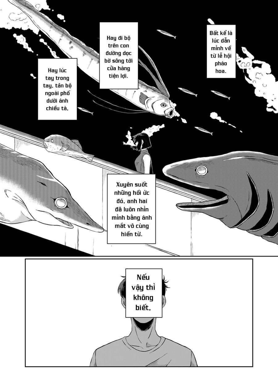 Thứ Đã Từng Là Anh Trai Tôi Chapter 3 - Trang 13