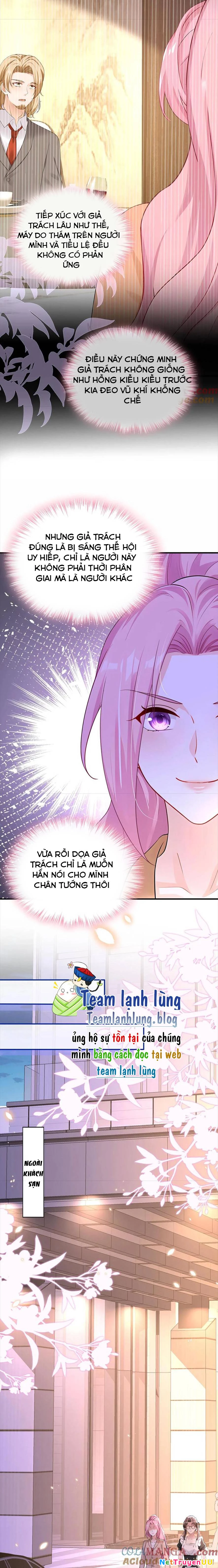 Tái Sinh Trở Lại : Chồng Cũ Khóc Lóc Cầu Xin Tái Hôn Chapter 199 - Trang 5