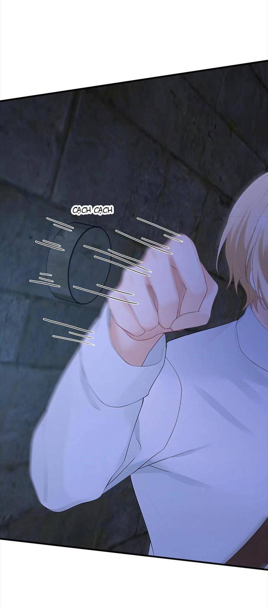 Tái Sinh Trở Lại : Chồng Cũ Khóc Lóc Cầu Xin Tái Hôn Chapter 189 - Trang 12