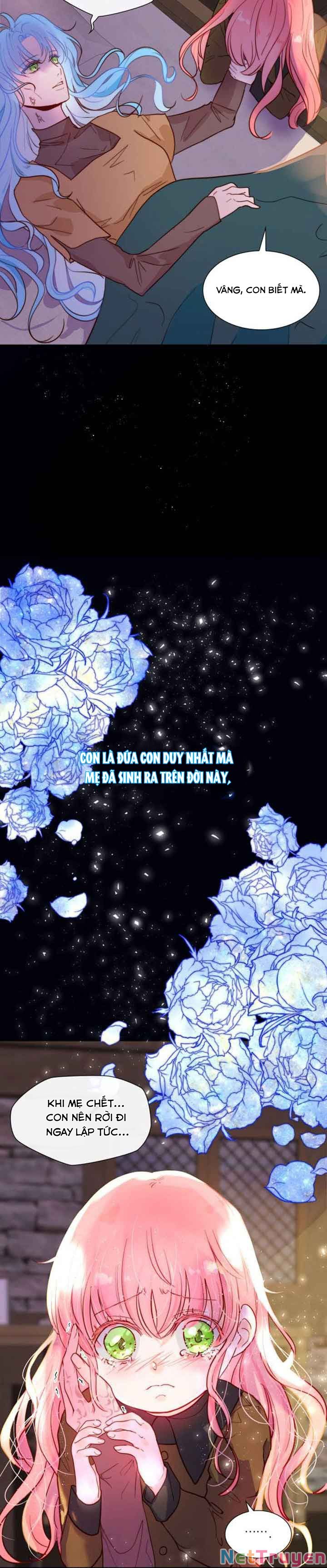 Tôi Được Sinh Ra Là Con Gái Thứ Hai Chapter 1 - Trang 3