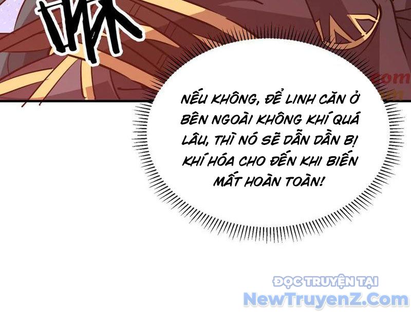 Ma Tu Tái Sinh: Khởi Đầu Nhặt Được Một Hành Tinh Zombie chapter 42 - Trang 15