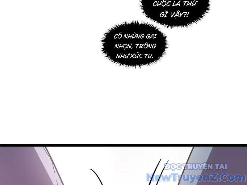 Hệ Thống Của Ta Thật Đứng Đắn chapter 60 - Trang 9