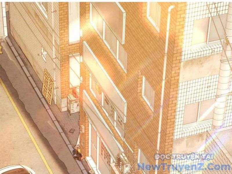 Trọng Sinh Không Làm Chạn Vương, Tôi Một Mình Nạp Game Thăng Cấp chapter 230 - Trang 3