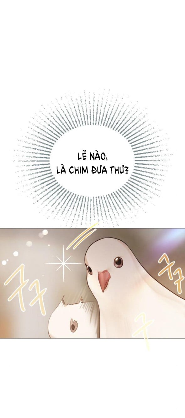 Khóc Đi Hay Là Cầu Xin Tôi Cũng Được Chapter 52 - Trang 29
