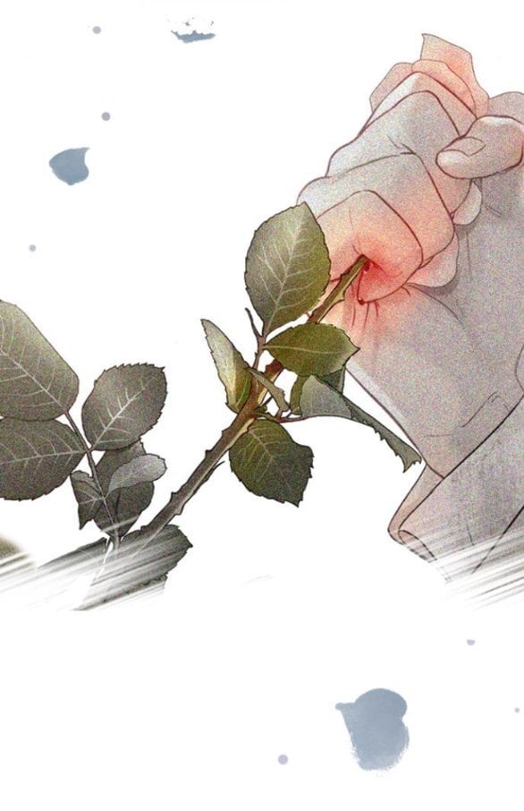 Khóc Đi Hay Là Cầu Xin Tôi Cũng Được Chapter 41 - Trang 28