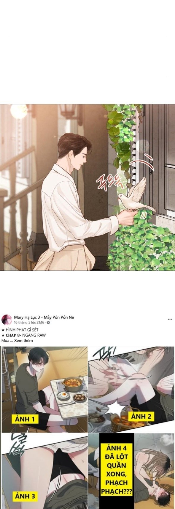 Khóc Đi Hay Là Cầu Xin Tôi Cũng Được Chapter 52 - Trang 33