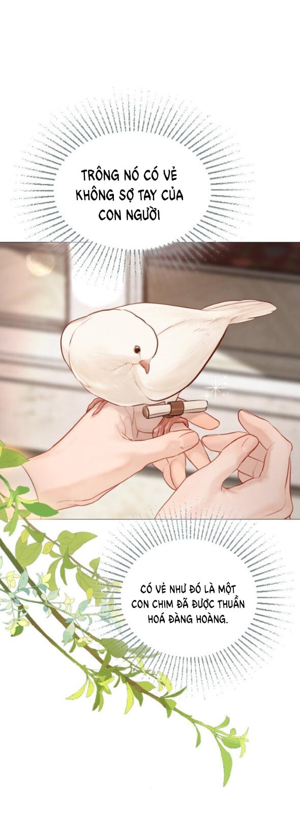 Khóc Đi Hay Là Cầu Xin Tôi Cũng Được Chapter 52 - Trang 34