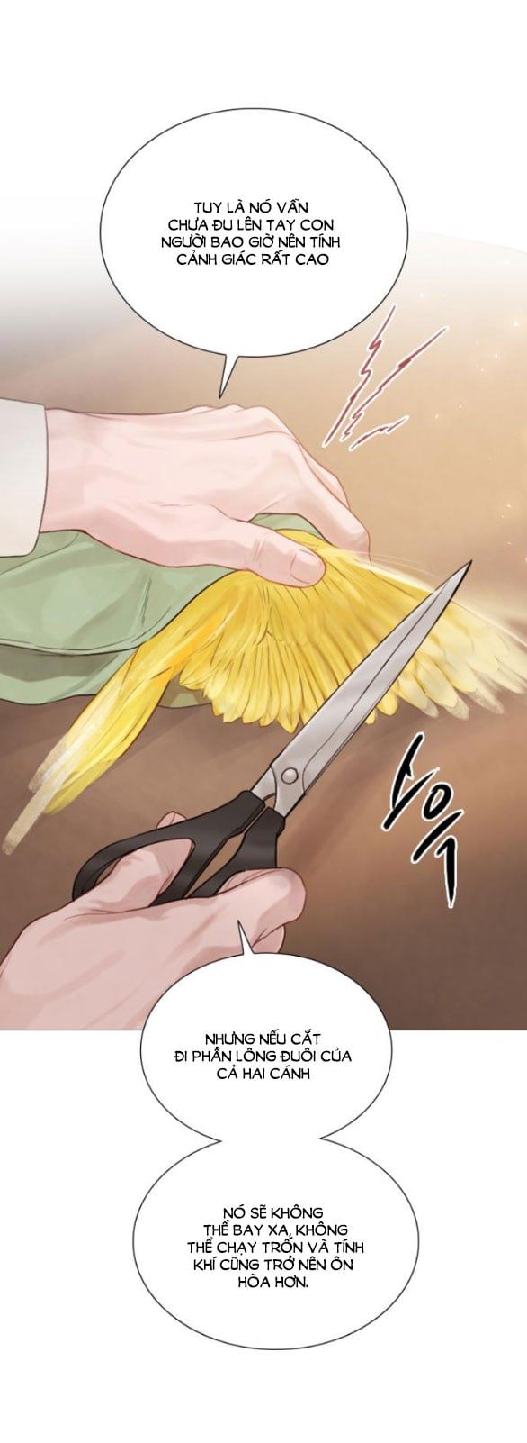 Khóc Đi Hay Là Cầu Xin Tôi Cũng Được Chapter 11.2 - Trang 12