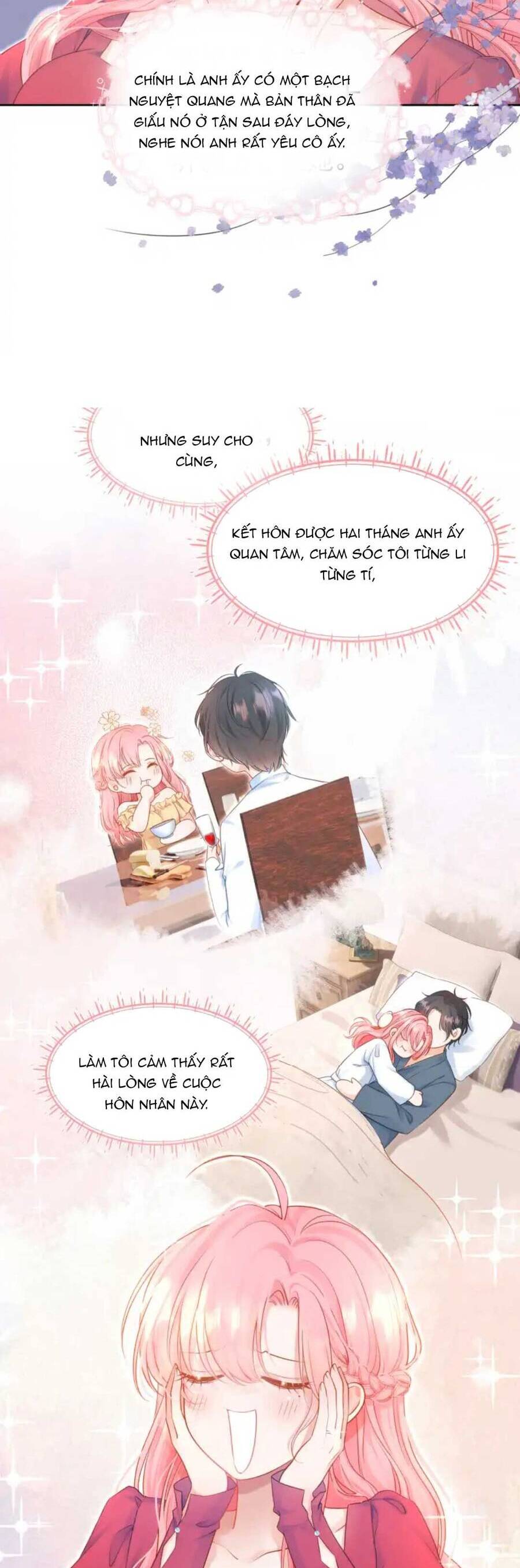 Xuyên Về Niên Thiếu Công Lược Lão Công Chapter 1 - Trang 17