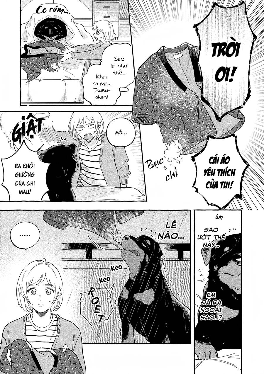 Đôi Ta Hoàn Toàn Trái Ngược Chapter 3 - Trang 3