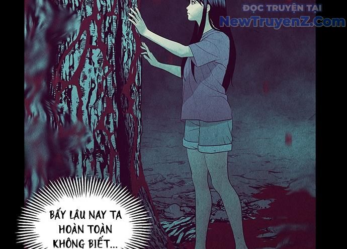 Cửa hàng đồ cổ tương lai chapter 31 - Trang 218