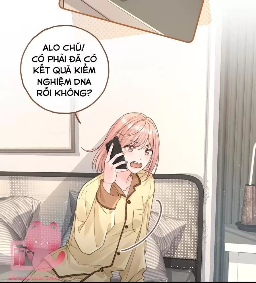 Tổng Tài Đuổi Vợ Lại Khóc Lóc Cầu Xin Vợ Quay Lại Chapter 67 - Trang 3