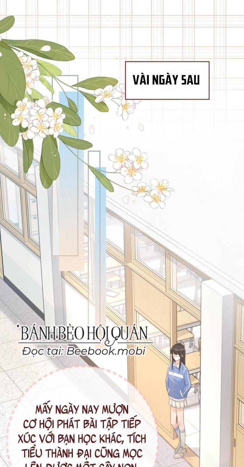 Tổng Tài Đuổi Vợ Lại Khóc Lóc Cầu Xin Vợ Quay Lại Chapter 14 - Trang 1