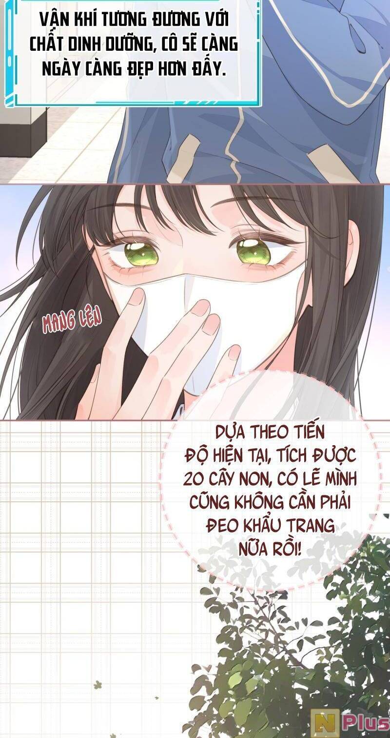 Tổng Tài Đuổi Vợ Lại Khóc Lóc Cầu Xin Vợ Quay Lại Chapter 14 - Trang 4