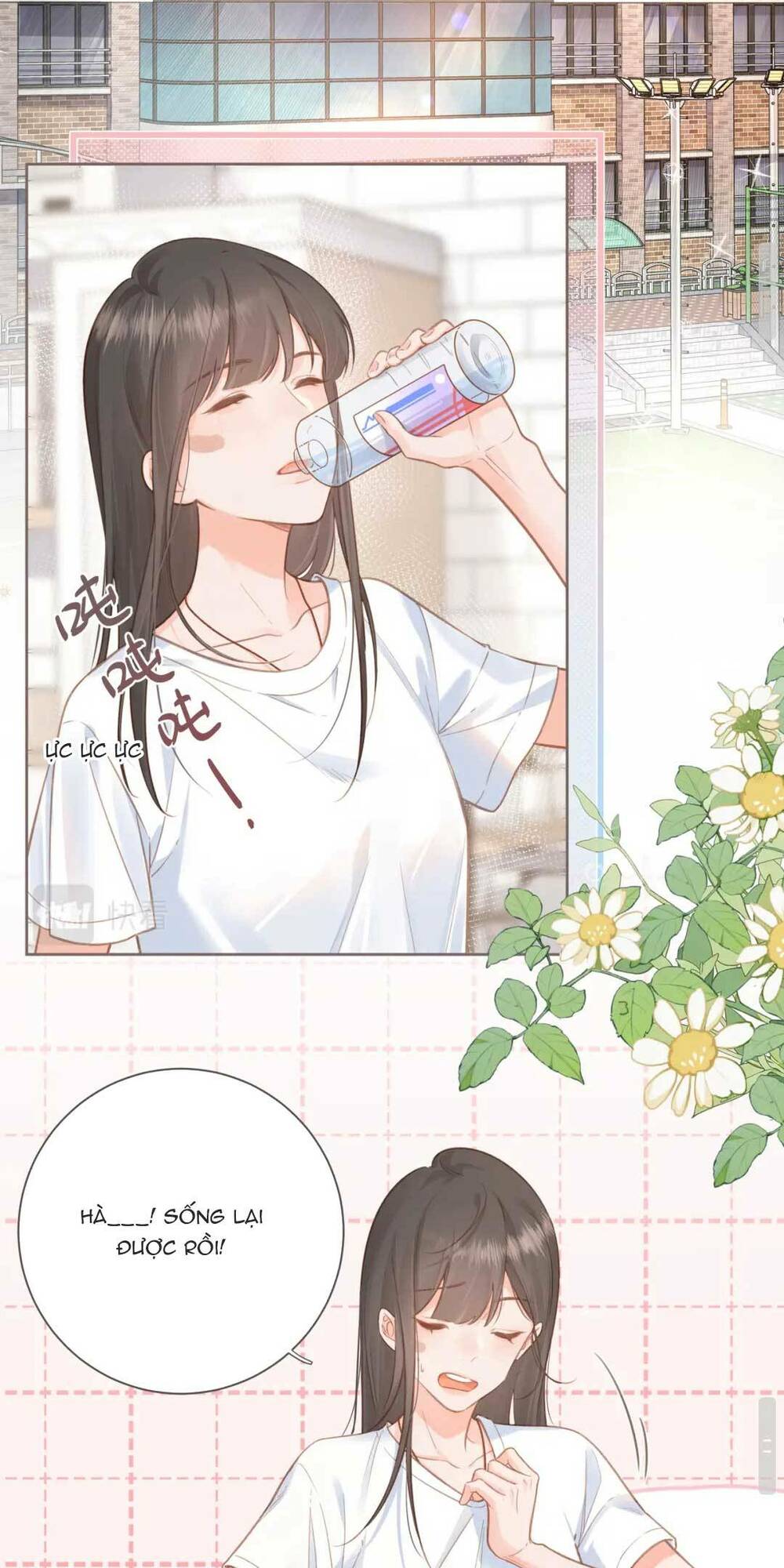 Tổng Tài Đuổi Vợ Lại Khóc Lóc Cầu Xin Vợ Quay Lại Chapter 3 - Trang 25