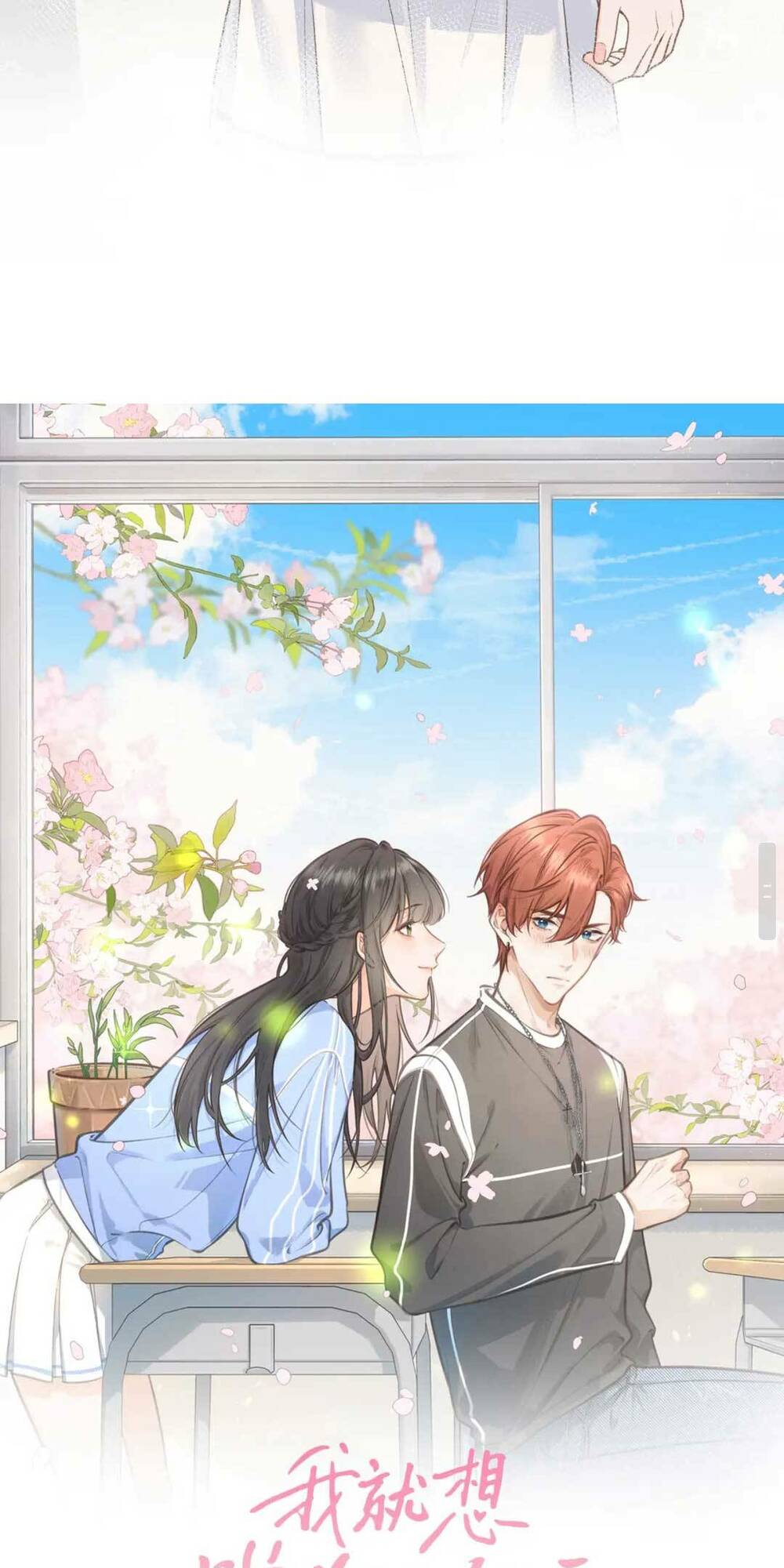 Tổng Tài Đuổi Vợ Lại Khóc Lóc Cầu Xin Vợ Quay Lại Chapter 4 - Trang 5