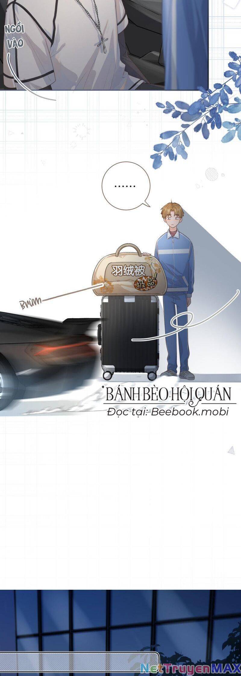 Tổng Tài Đuổi Vợ Lại Khóc Lóc Cầu Xin Vợ Quay Lại Chapter 18 - Trang 4